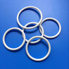 Coated O-ring